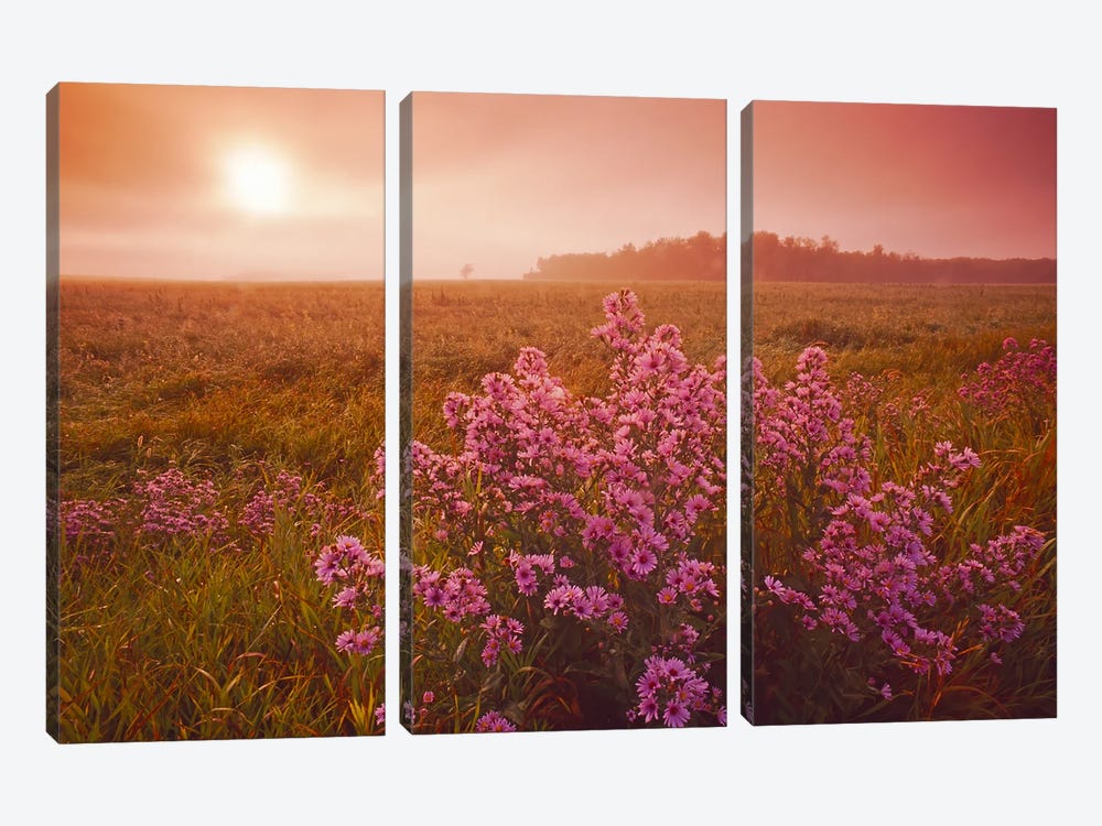 Moody Prairie Morning by Dave Reede 3-piece Canvas Wall Art