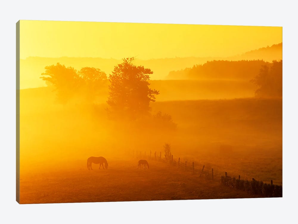 Morning Graze by Dave Reede 1-piece Canvas Wall Art