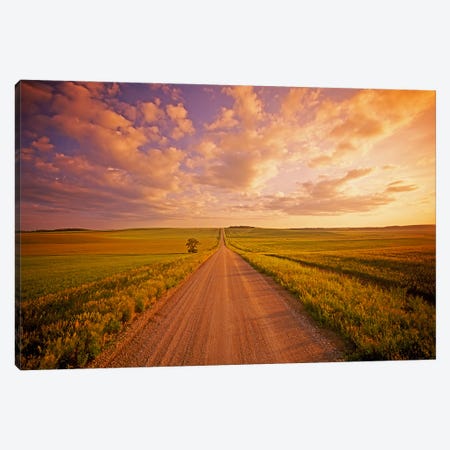 Never Ending Country Road Canvas Print #RVD44} by Dave Reede Canvas Art Print