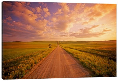 Never Ending Country Road Canvas Art Print - Dave Reede