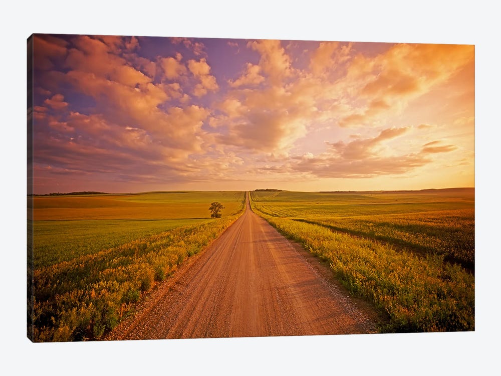 Never Ending Country Road by Dave Reede 1-piece Canvas Artwork