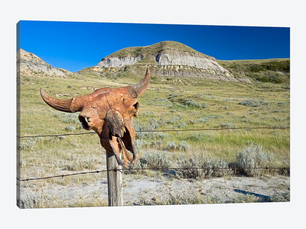 Old Buffalo Skull On Fence Post by Dave Reede 1-piece Art Print