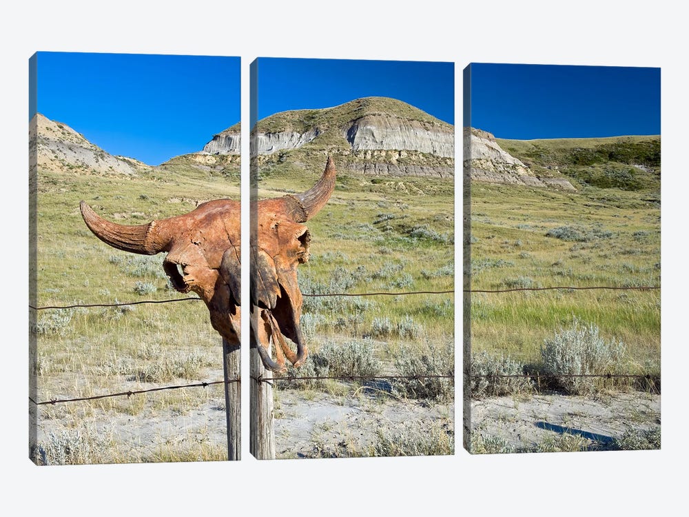 Old Buffalo Skull On Fence Post by Dave Reede 3-piece Canvas Print