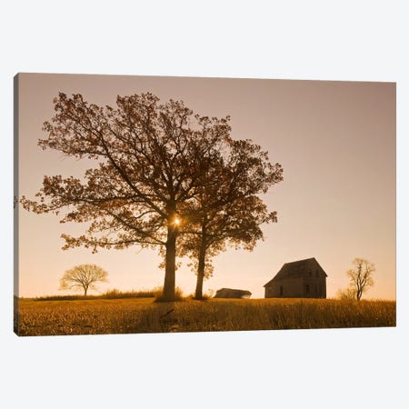 Old House And Oak Trees Canvas Print #RVD49} by Dave Reede Canvas Artwork