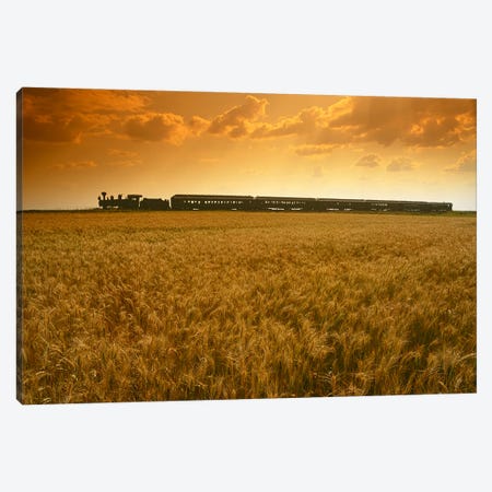 Prairie Dog Central Passing A Wheat Field Canvas Print #RVD51} by Dave Reede Art Print