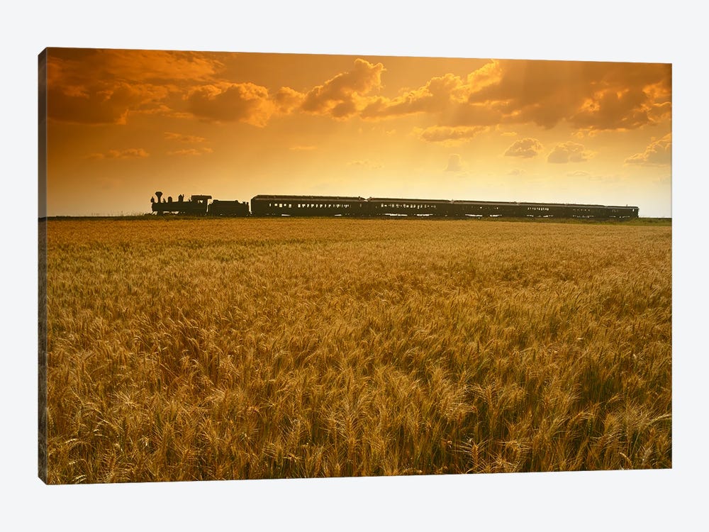 Prairie Dog Central Passing A Wheat Field by Dave Reede 1-piece Canvas Artwork