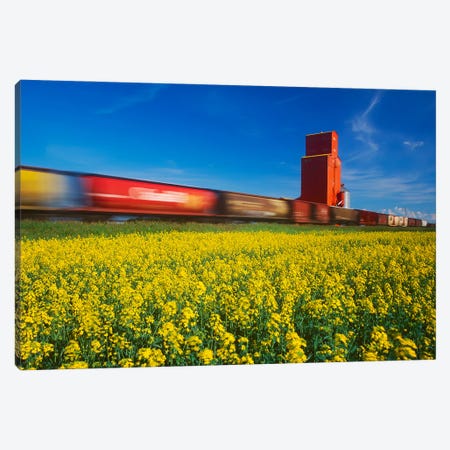 Rail Cars On The Move Canvas Print #RVD52} by Dave Reede Art Print
