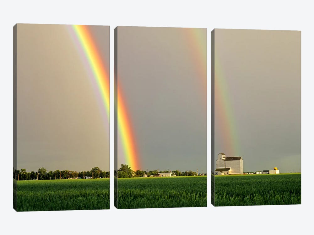 Rainbow Over Grain Elevator by Dave Reede 3-piece Canvas Print