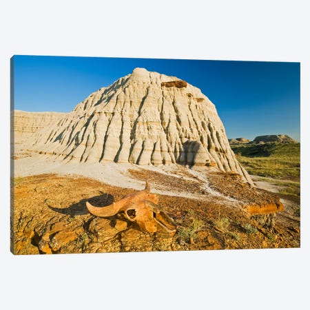 Relic In The Badlands Canvas Print #RVD58} by Dave Reede Canvas Print