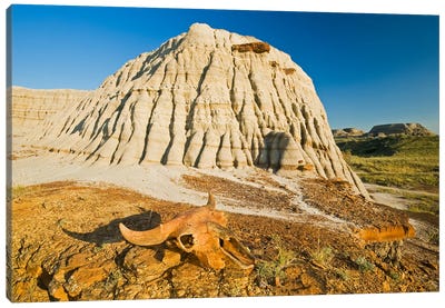 Relic In The Badlands Canvas Art Print - Dave Reede