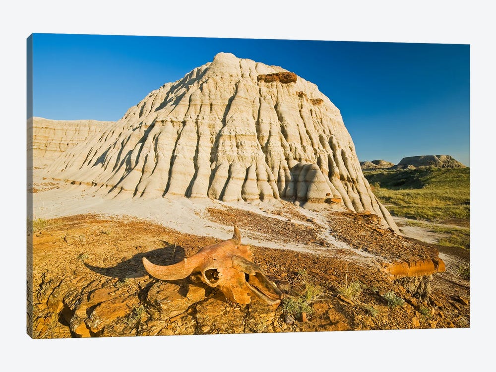 Relic In The Badlands by Dave Reede 1-piece Canvas Art Print