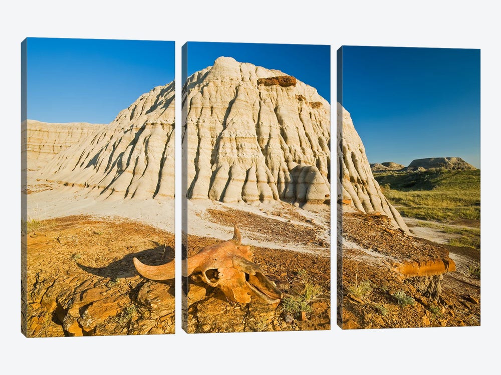 Relic In The Badlands by Dave Reede 3-piece Art Print
