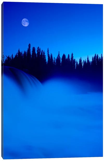 Rushing River Canvas Art Print - Dave Reede