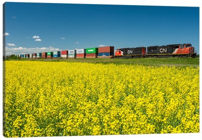 Shipping Containers On The Move Canvas Art Print - Dave Reede