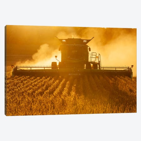 Soybean Harvest Canvas Print #RVD65} by Dave Reede Canvas Print