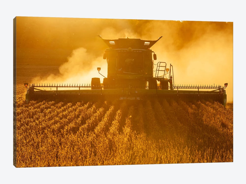 Soybean Harvest by Dave Reede 1-piece Canvas Print