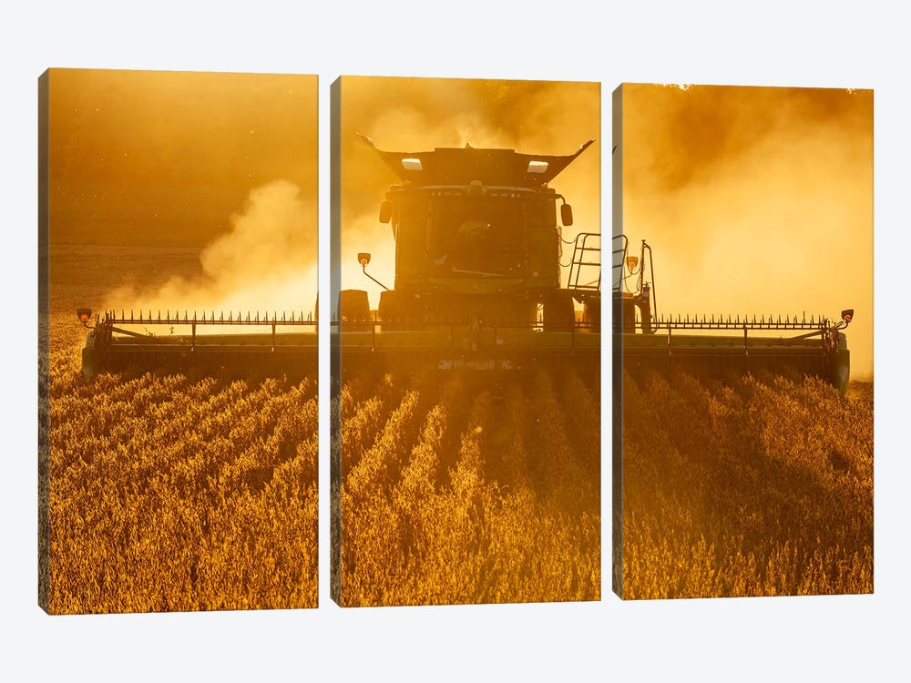Soybean Harvest by Dave Reede 3-piece Canvas Art Print