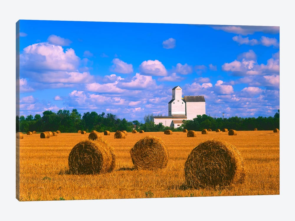 Straw Bales And Grain Elevator by Dave Reede 1-piece Canvas Wall Art