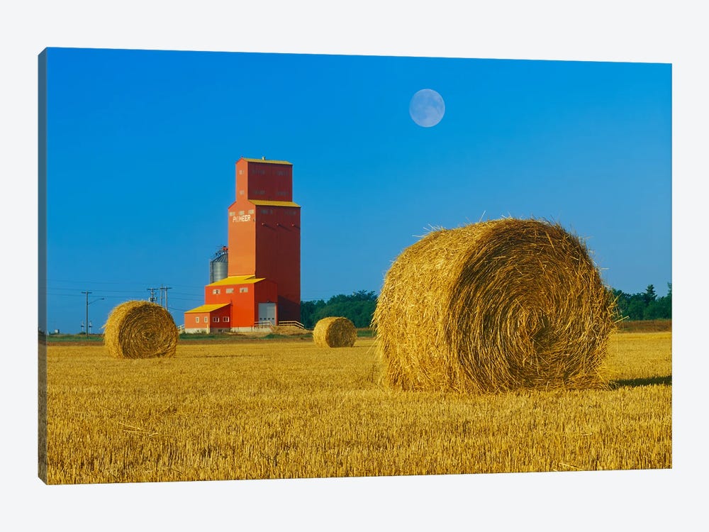 Straw Bales And Old Grain Elevator by Dave Reede 1-piece Art Print