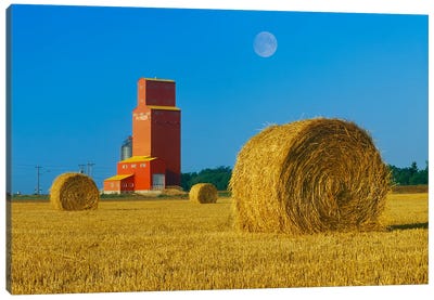 Straw Bales And Old Grain Elevator Canvas Art Print - Dave Reede