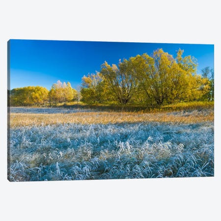 Autumn Frost Canvas Print #RVD6} by Dave Reede Canvas Wall Art