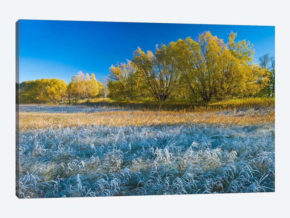 Autumn Frost by Dave Reede 1-piece Canvas Wall Art