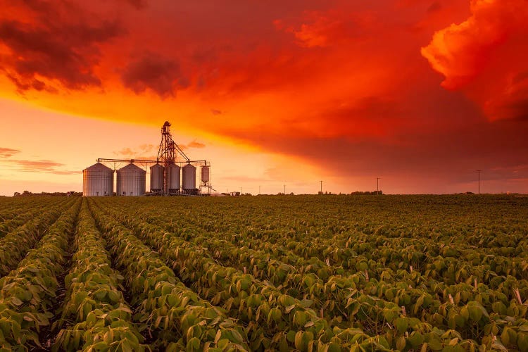 Sunset Over Farmland