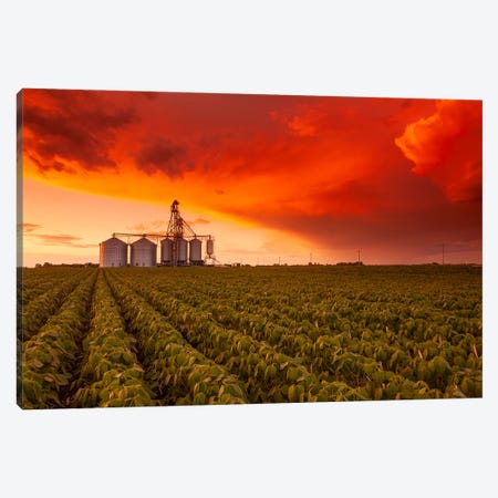Sunset Over Farmland Canvas Print #RVD74} by Dave Reede Canvas Artwork