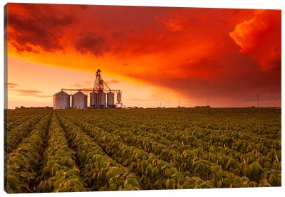 Sunset Over Farmland Canvas Art Print - Dave Reede