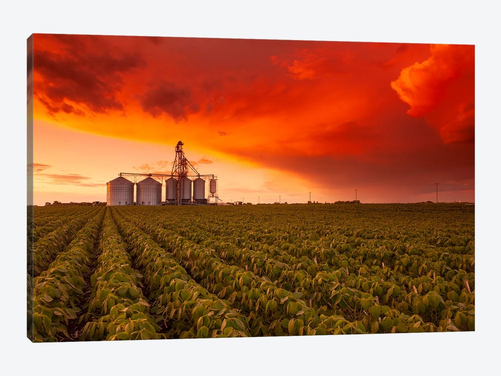 Sunset Over Farmland by Dave Reede 1-piece Art Print