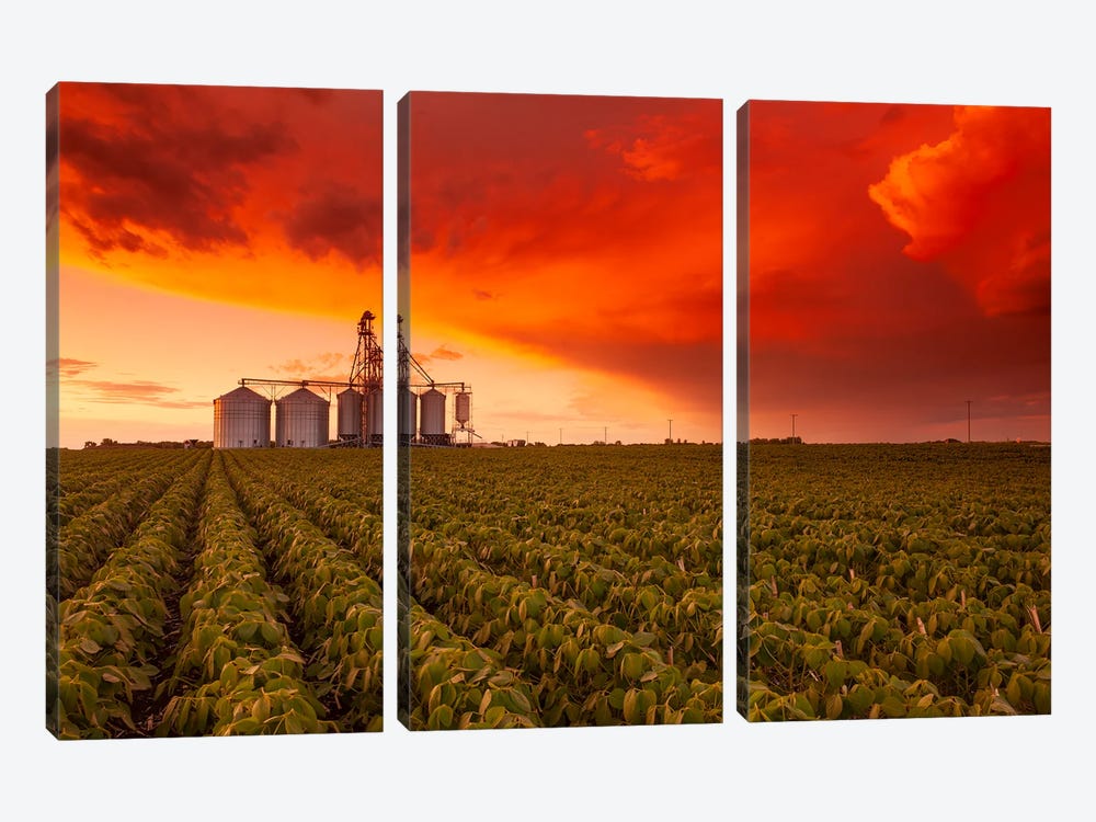 Sunset Over Farmland by Dave Reede 3-piece Art Print