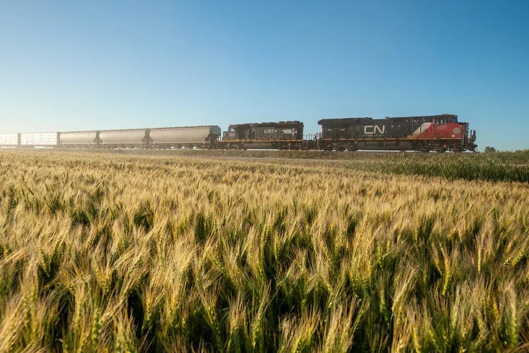 Train Passing A Wheat Field