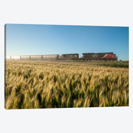 Train Passing A Wheat Field Canvas Print #RVD77} by Dave Reede Canvas Art