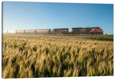 Train Passing A Wheat Field Canvas Art Print - Dave Reede