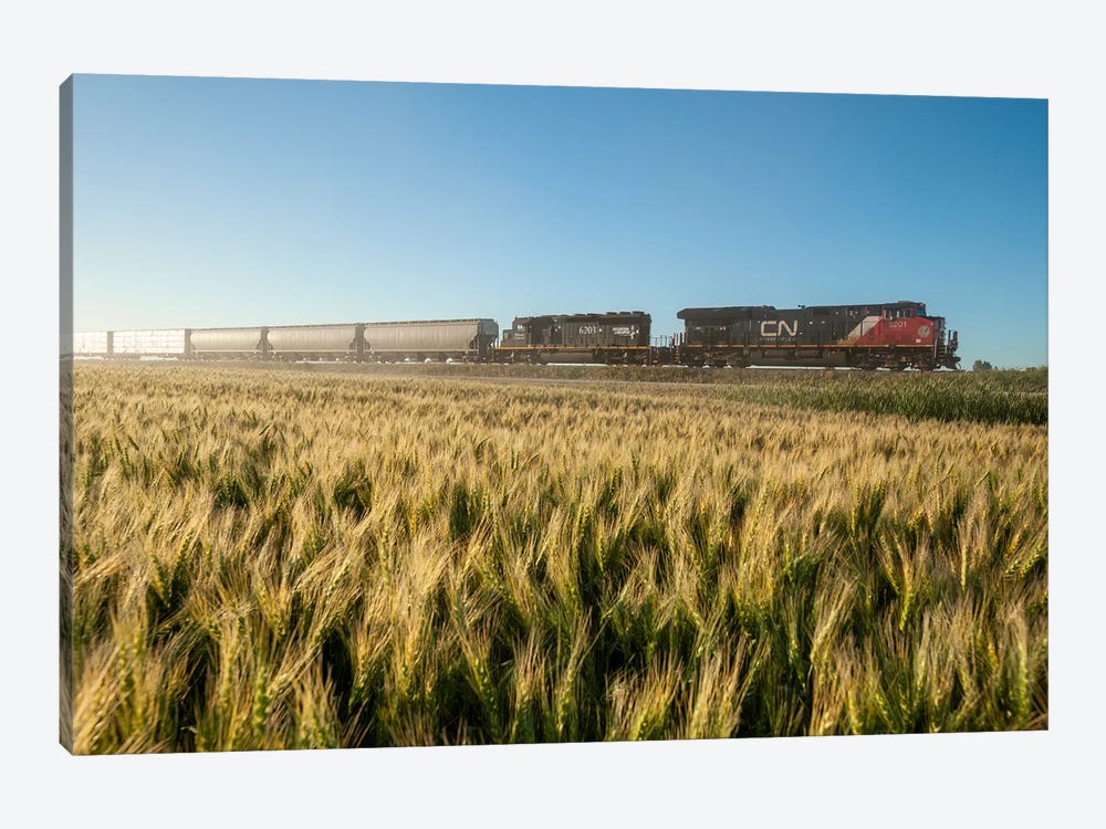 Train Passing A Wheat Field by Dave Reede 1-piece Canvas Artwork