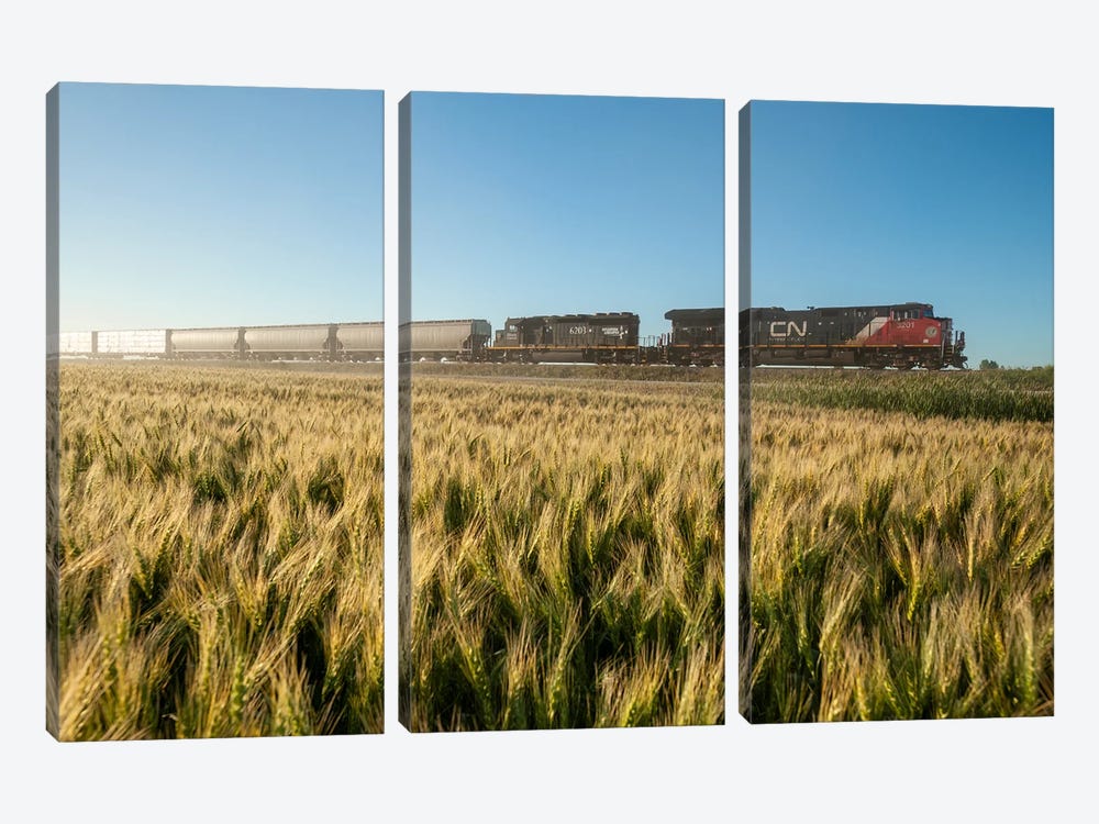 Train Passing A Wheat Field by Dave Reede 3-piece Canvas Artwork