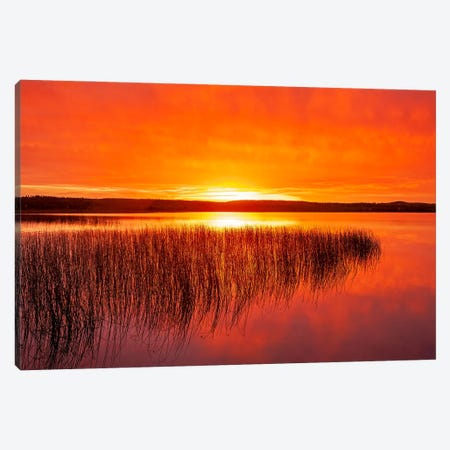 Tranquil Northern Lake Canvas Print #RVD78} by Dave Reede Art Print