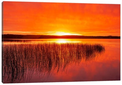 Tranquil Northern Lake Canvas Art Print - Dave Reede