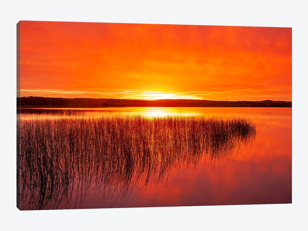 Tranquil Northern Lake by Dave Reede 1-piece Canvas Print