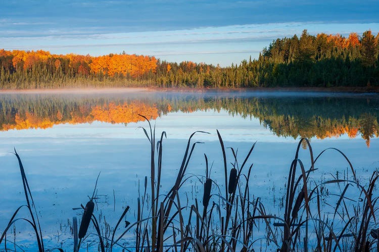 Autumn Morning