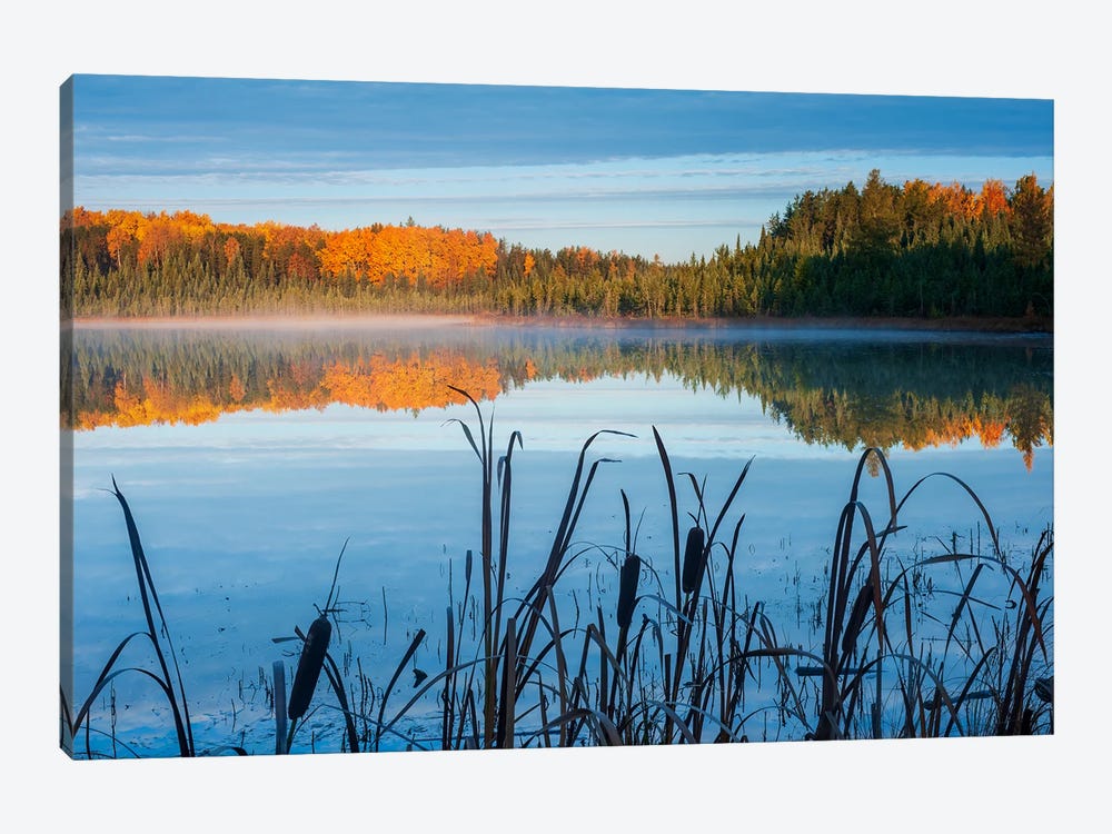 Autumn Morning by Dave Reede 1-piece Canvas Print