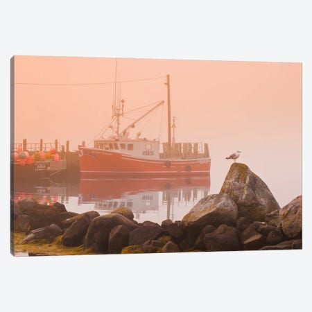 Waiting For The Fog To Clear Canvas Print #RVD81} by Dave Reede Canvas Artwork
