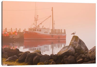 Waiting For The Fog To Clear Canvas Art Print - Dave Reede