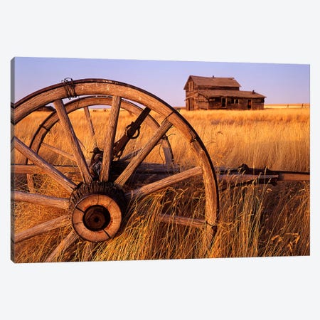 Weathered Homestead On The Prairies Canvas Print #RVD82} by Dave Reede Canvas Artwork