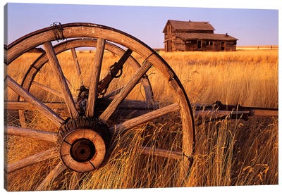 Weathered Homestead On The Prairies Canvas Art Print - Dave Reede