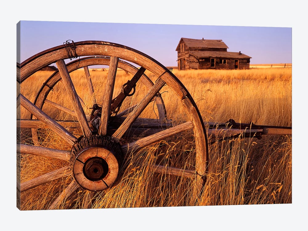 Weathered Homestead On The Prairies by Dave Reede 1-piece Canvas Artwork