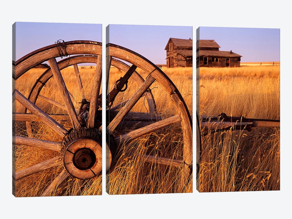 Weathered Homestead On The Prairies by Dave Reede 3-piece Canvas Art