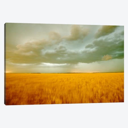 Windy Evening Canvas Print #RVD87} by Dave Reede Canvas Print