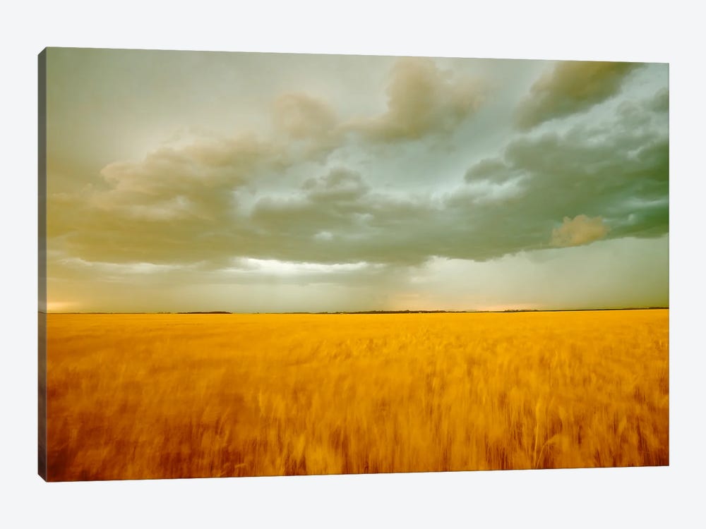 Windy Evening by Dave Reede 1-piece Canvas Print