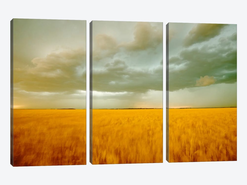 Windy Evening by Dave Reede 3-piece Canvas Art Print